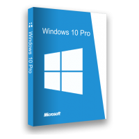 Microsoft Windows 10 Professional License