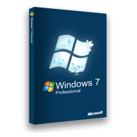 Microsoft Windows 7 Professional License